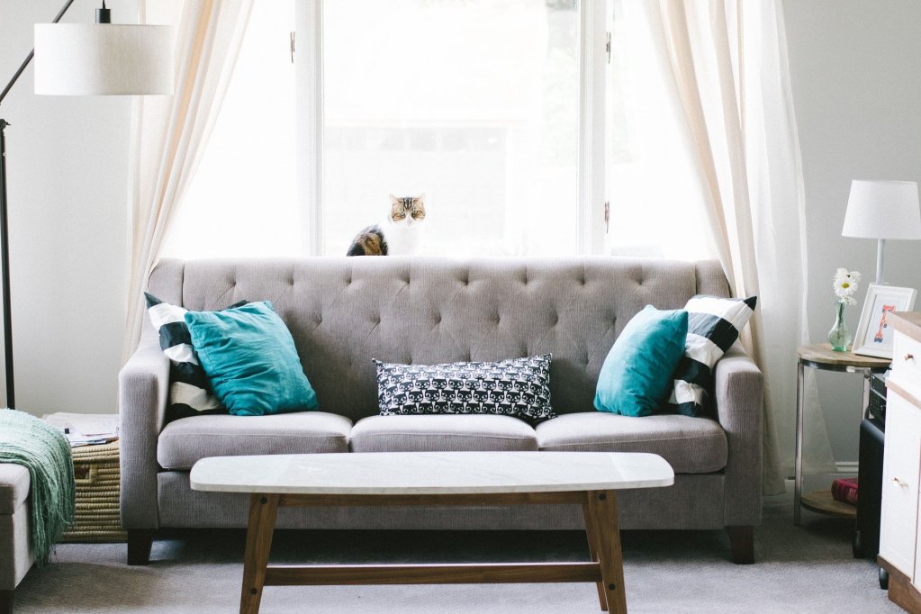 A light and breezy living room window with modern furnishings