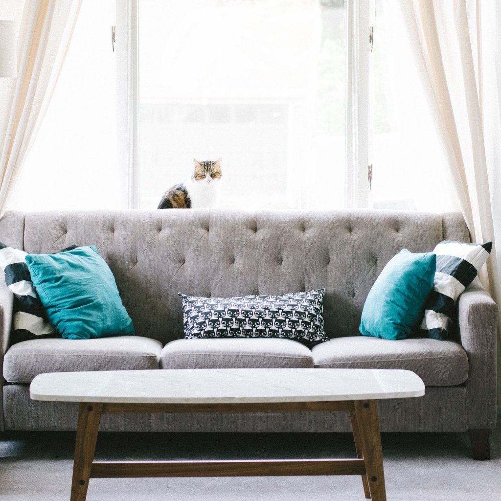 A light and breezy living room window with modern furnishings
