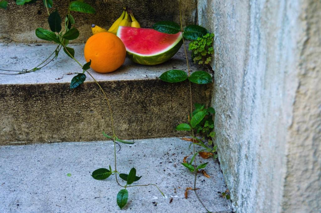 plants and fruit on concrete steps