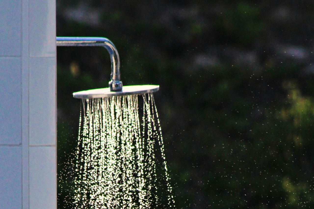 rain shower shower head