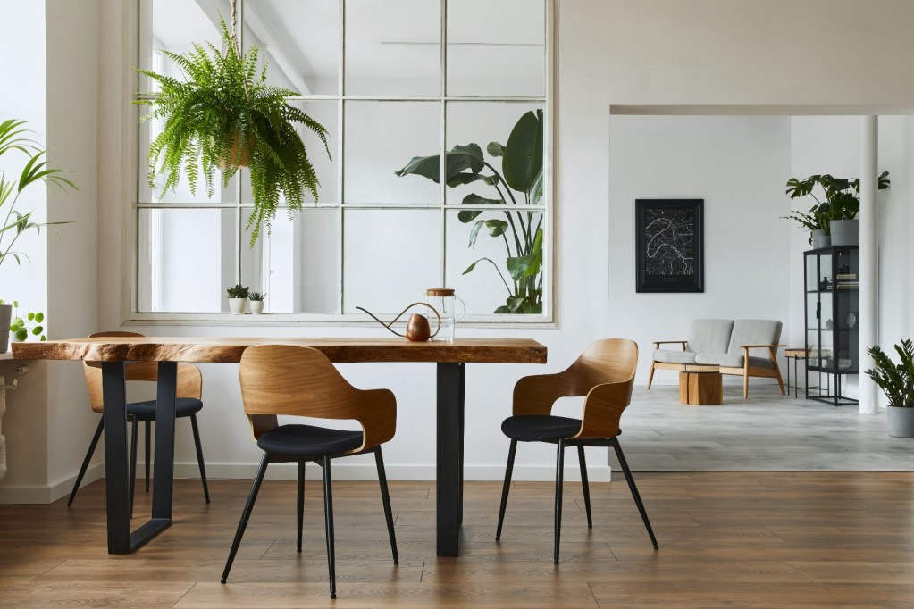 Dining room with mirror