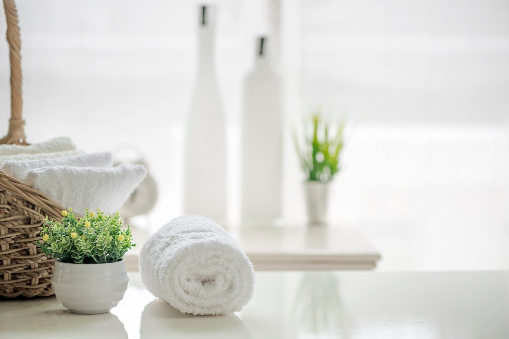 rolled towels and plant in bathroom