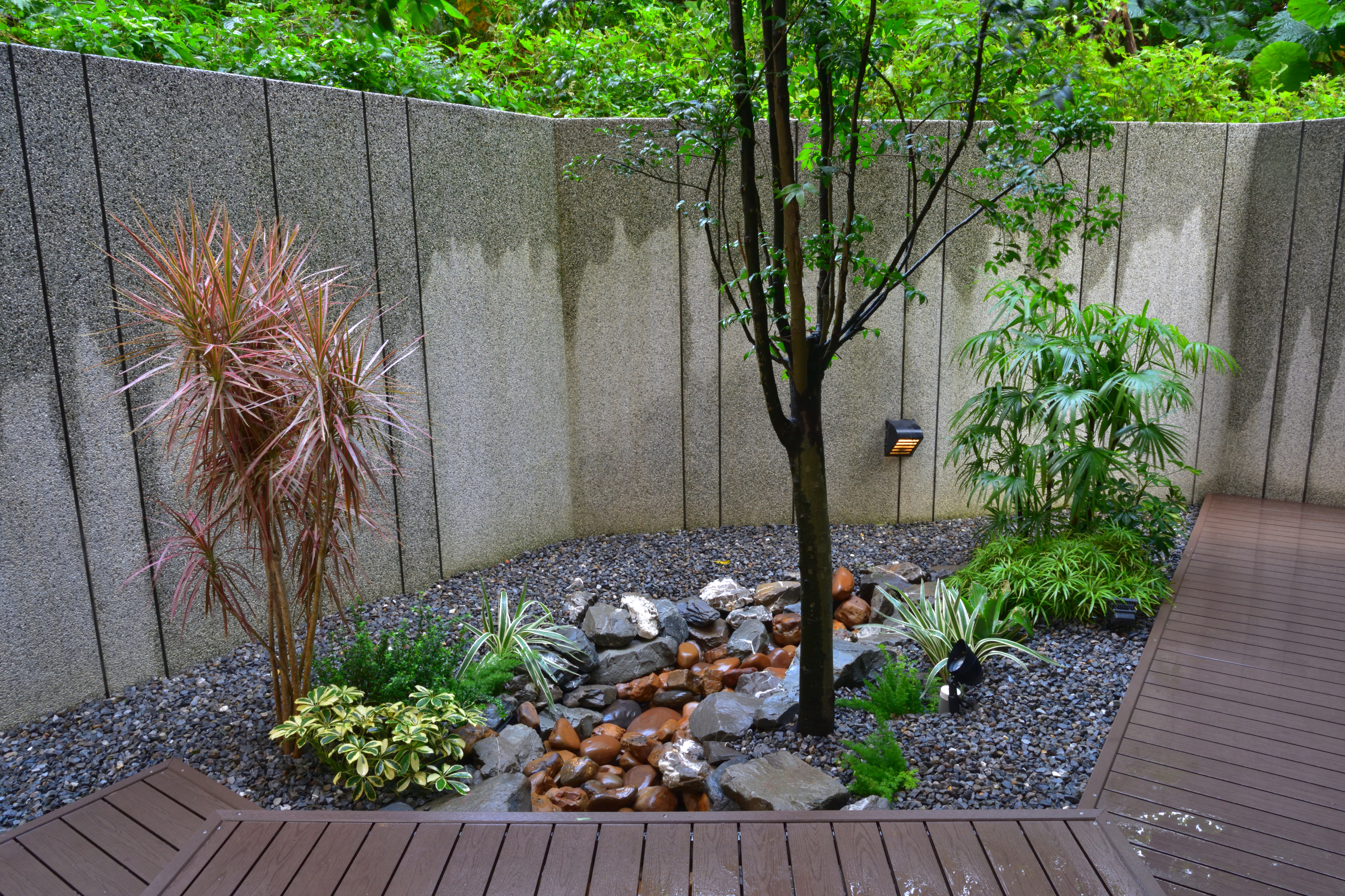 Rock garden and decorative trees