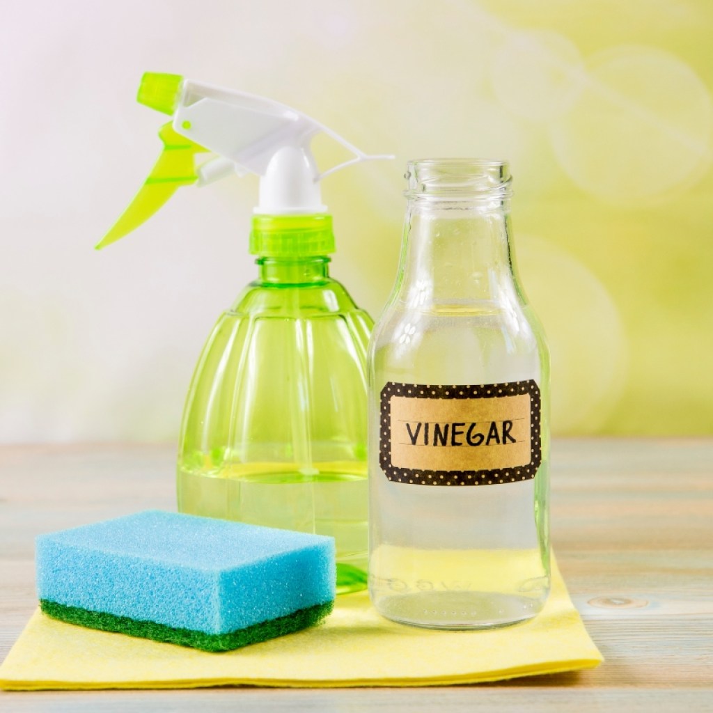 Vinegar cleaning solution with spray bottle and sponge