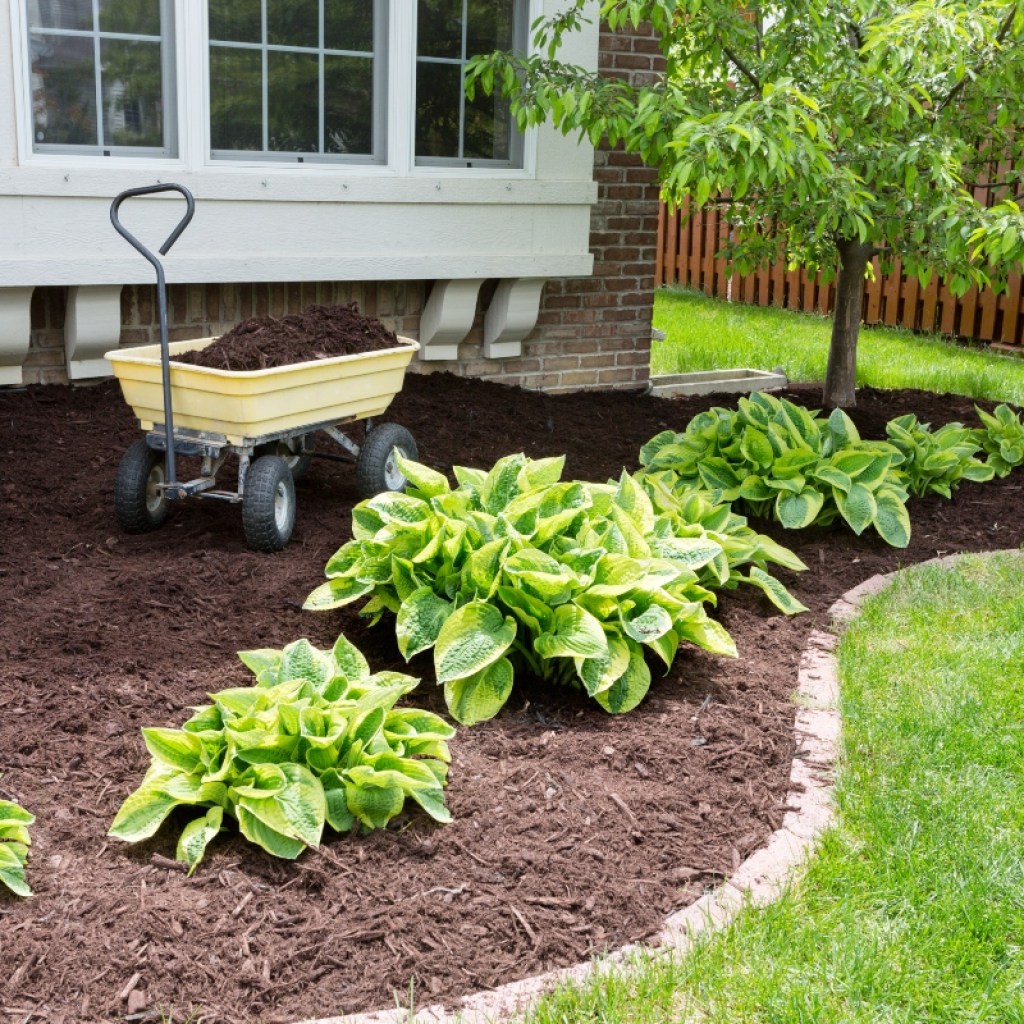 wagon with mulch in landscape garden