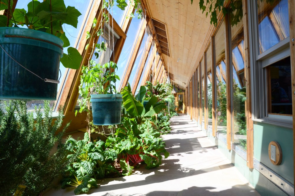 sunroom with plants near windows