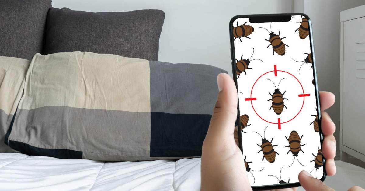 Worried About Bed Bugs? Here’s How to Treat Your Furniture 21Oak