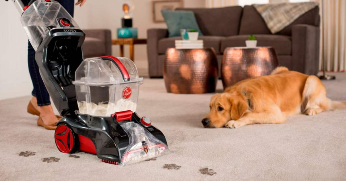 Best Cheap Carpet Cleaner Deals for May 2021 21Oak