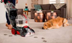 best cheap carpet cleaner deals hoover power scrub elite corded upright