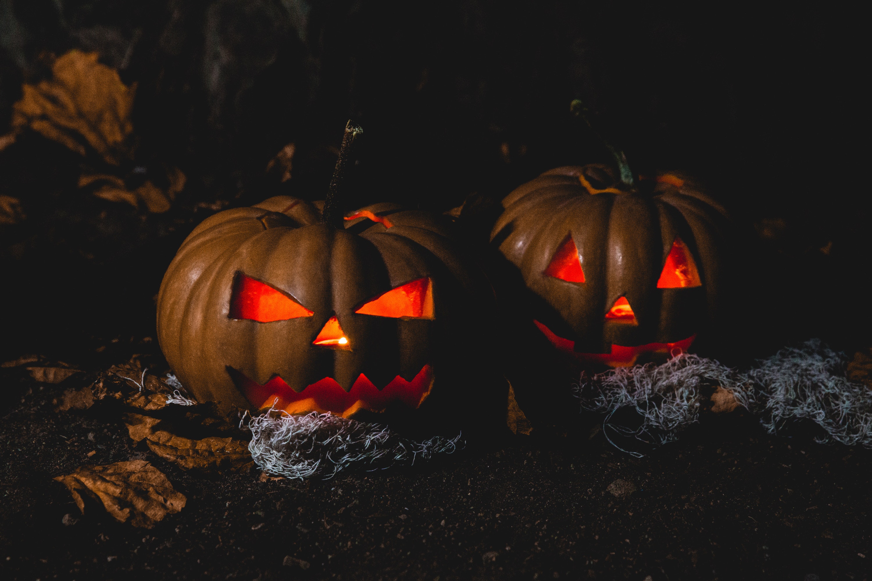 Two jack-o-lanterns side by side