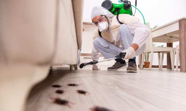 Exterminator spraying roaches in a home