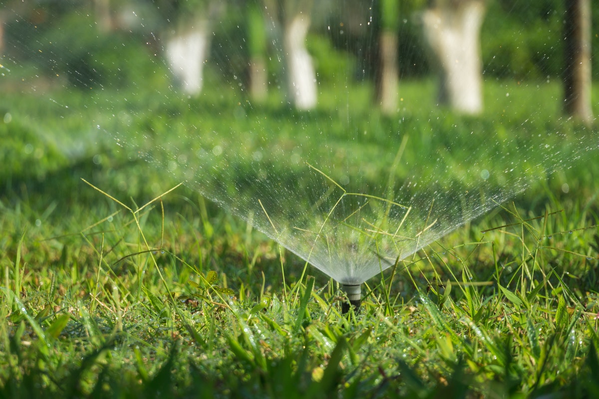 This is How Often You Should Water New sod and How 21Oak