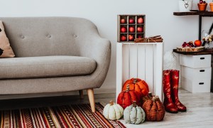 Gray modern sofa with fall decorations