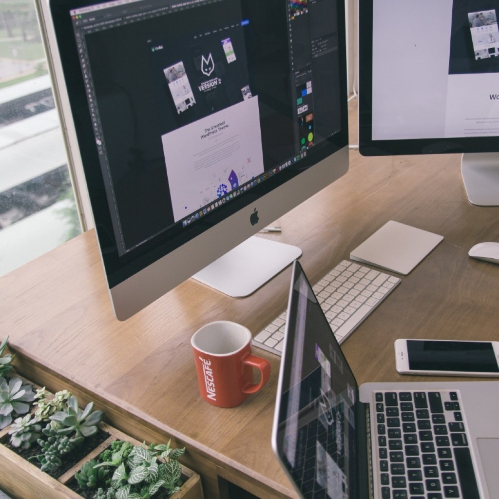 plants nearby computer desk in office