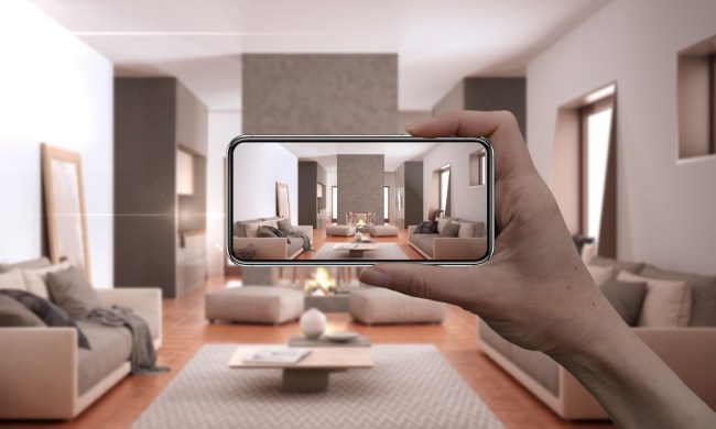 Person holding smartphone for AR home decor
