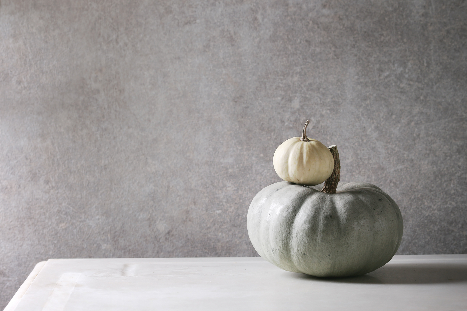 Two simple fall decor pumpkins in white and gray