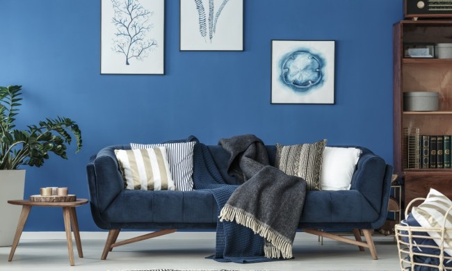 All blue room with monochromatic color pallet