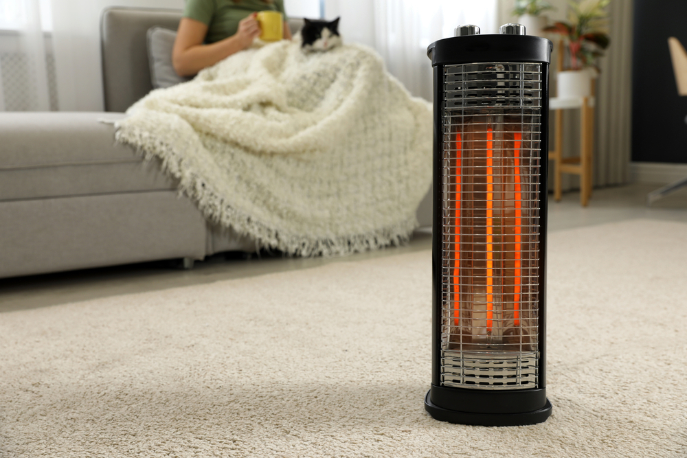 space heater in living room where woman and cat are sitting