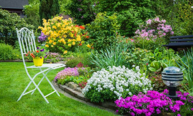 Chair beside blooming flower garden
