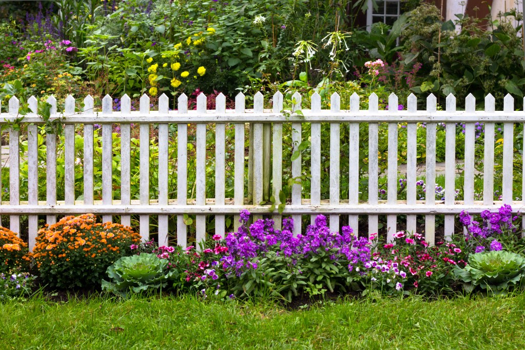 White picket fence with flower bushes