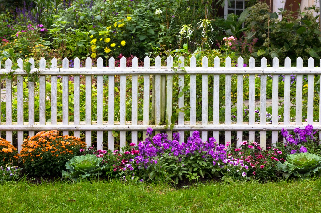 White picket fence with flower bushes