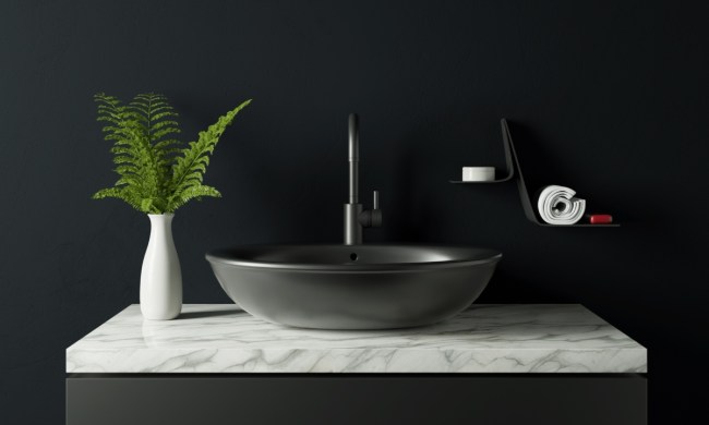 Black bathroom wall with black sink and plant decor