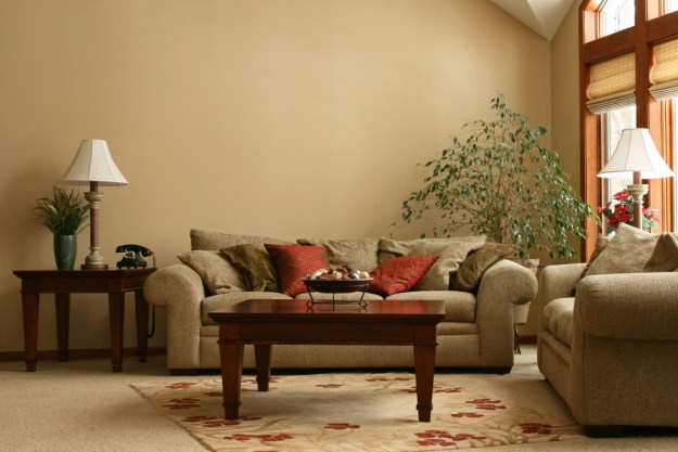 Brown living room walls with neutral color palette design