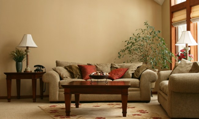 Brown living room walls with neutral color palette design