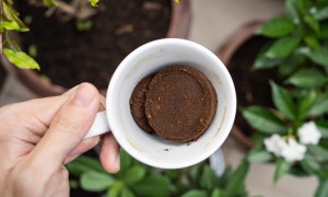 Person holding coffee grounds in a cup for their garden