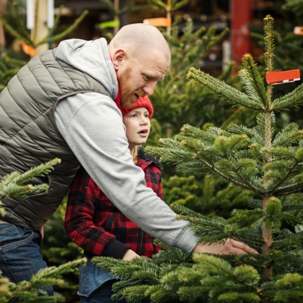 a father and son deciding on a real christmas tree