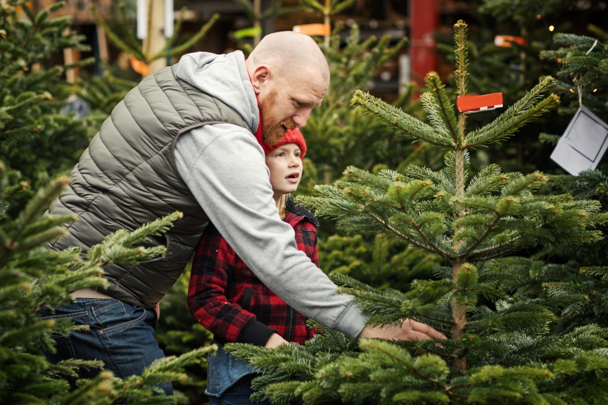 a father and son deciding on a real christmas tree