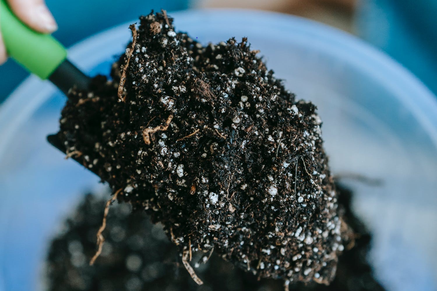 Garden trowel full of potting soil