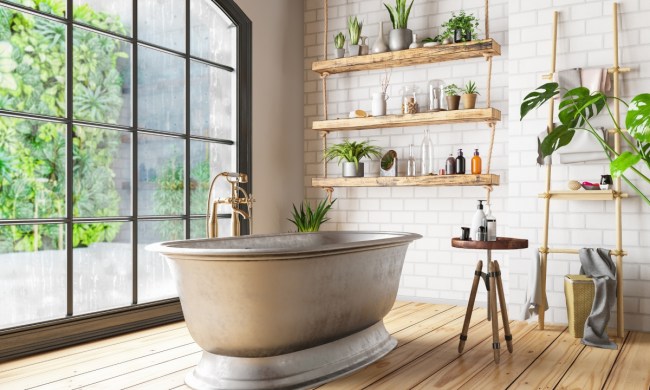 plants and large window in modern bathroom with large tub