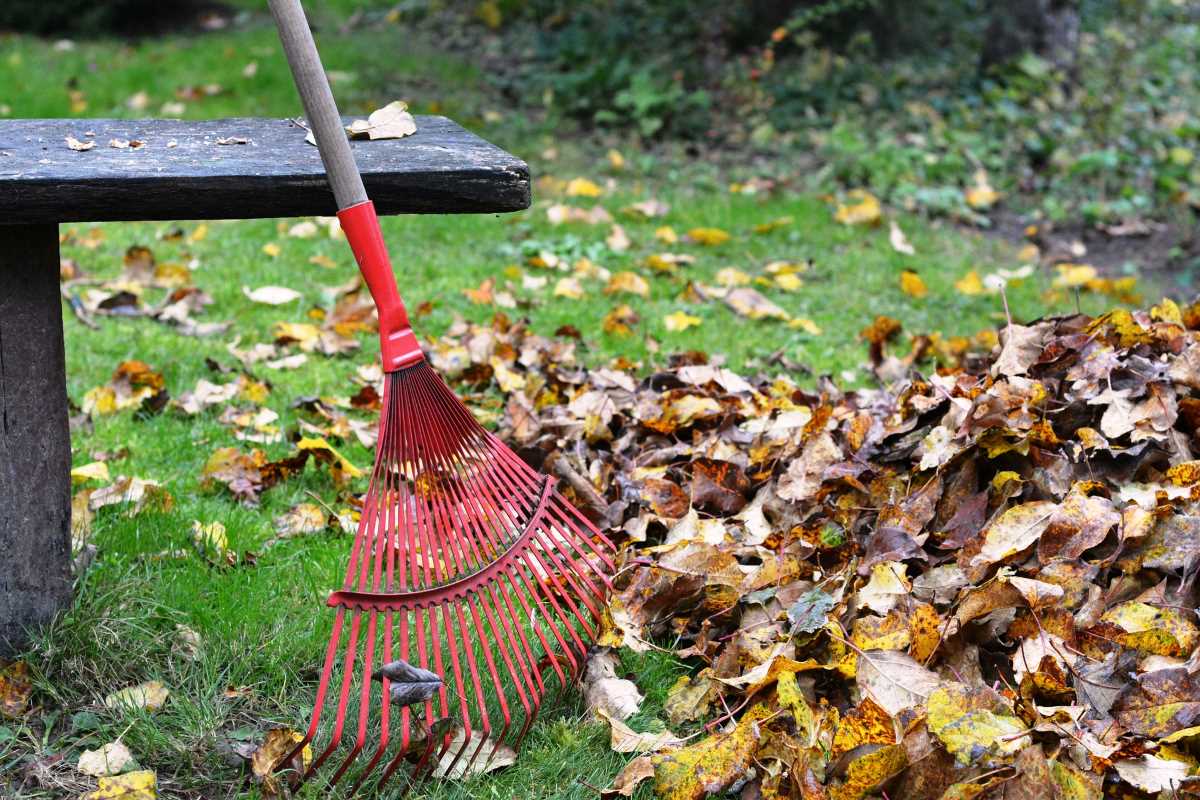 person raking autumn leaves in grass
