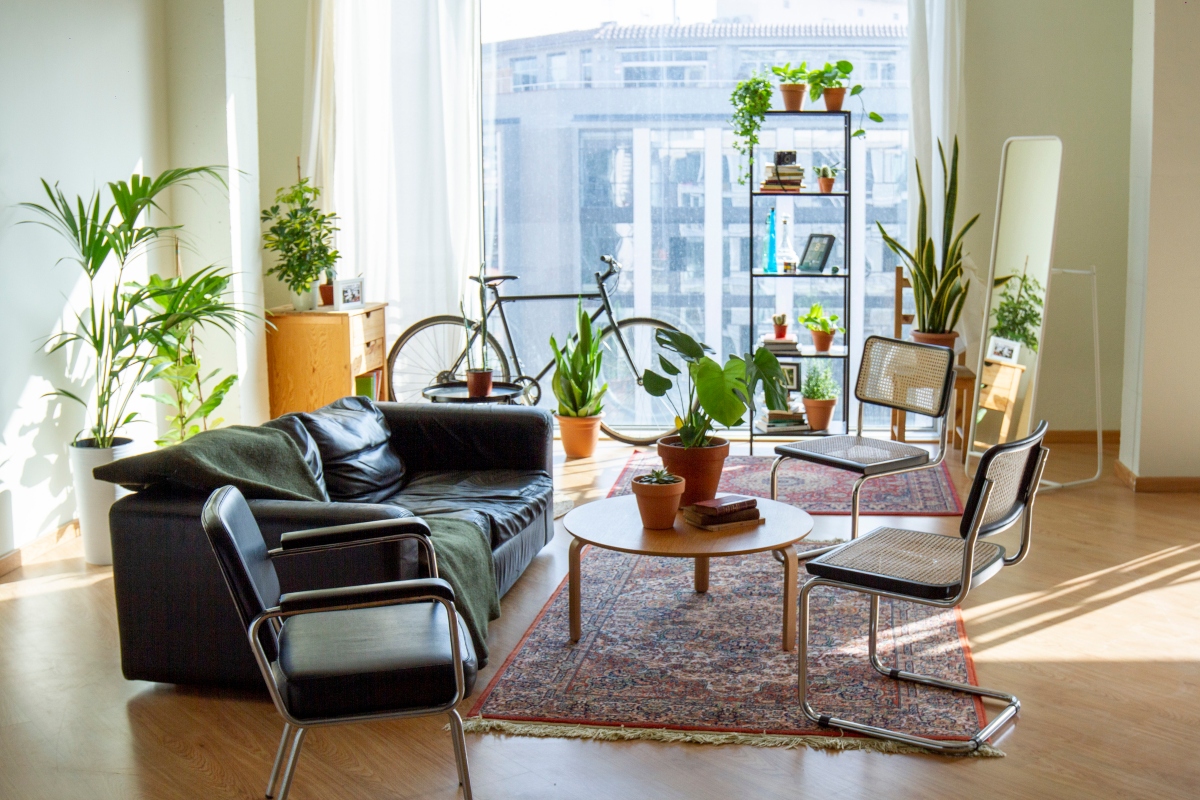 small living room with tiny rug and decorative plants