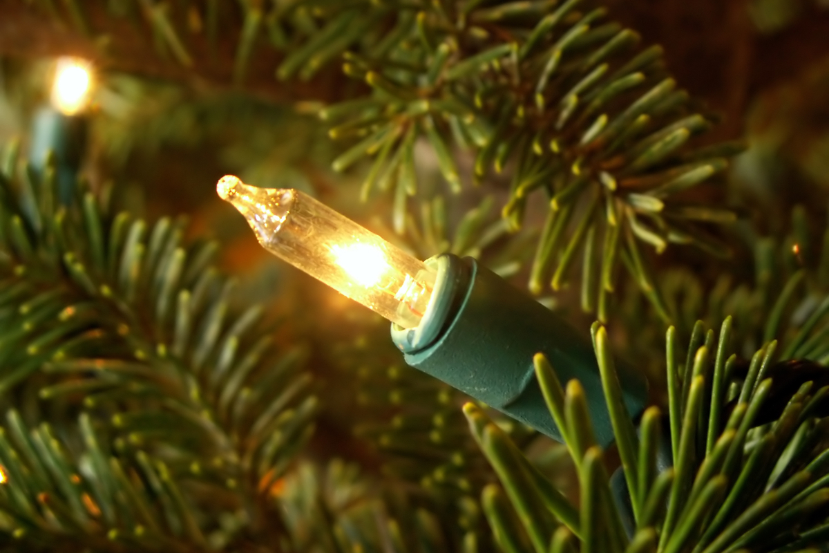 Closeup of a bulb on a Christmas tree