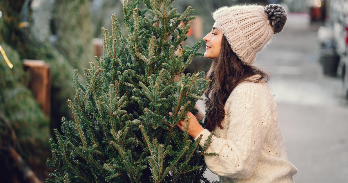 Fake vs real Christmas trees Which is right for you? 21Oak