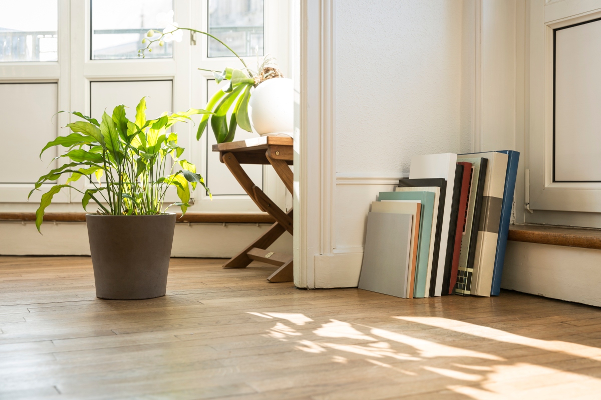 bleached light wood flooring in an entryway