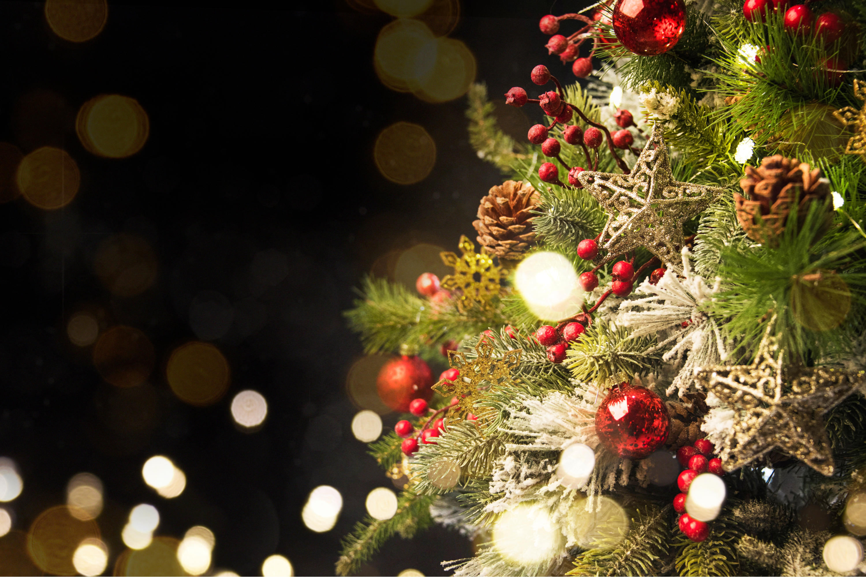 Christmas tree pine cones