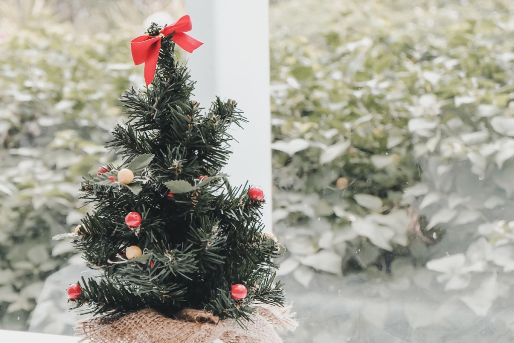mini christmas tree on table by window