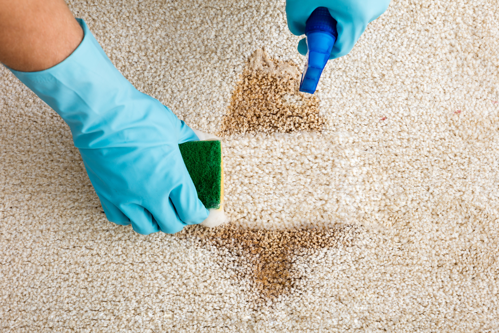 The Super Simple Guide To Deep Cleaning Gross Carpets 21Oak