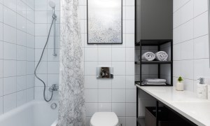 Wall art hanging in the bathroom above the toilet