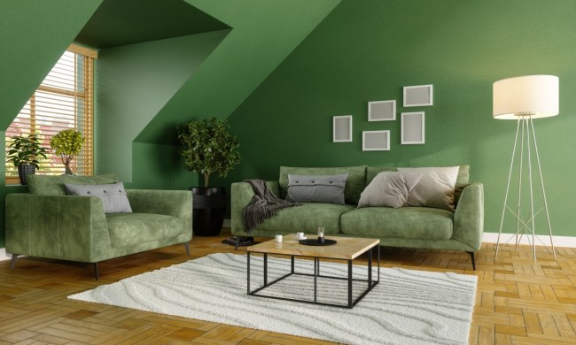 Green living room walls with velvet green sofas