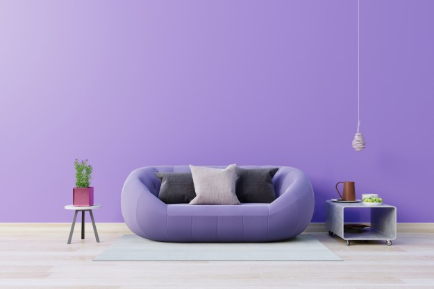 Living room with purple couch and walls