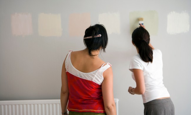 Two women using paint samples on a wall