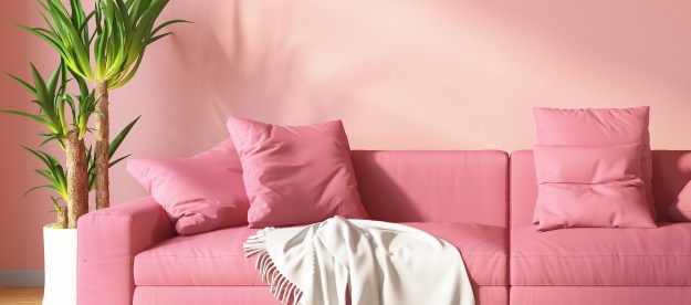 Dusty rose walls with pink couch and green plant