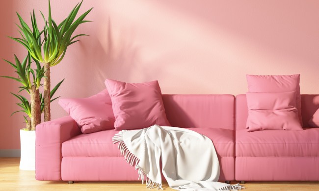 Dusty rose walls with pink couch and green plant