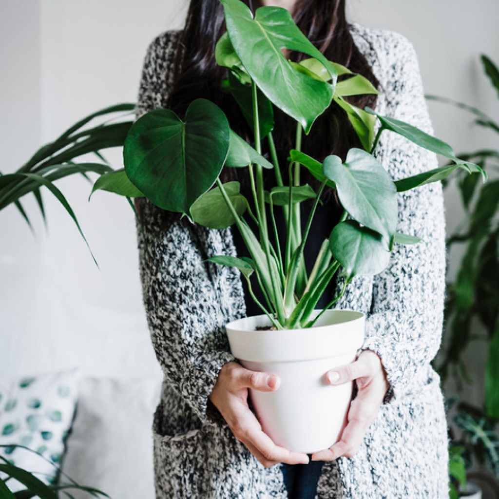 Woman in a comfy sweater holding a large plant with other plants surrounding her