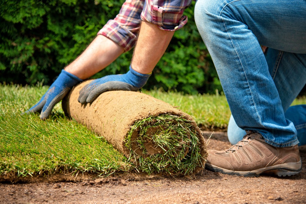 Man laying sod over dirt