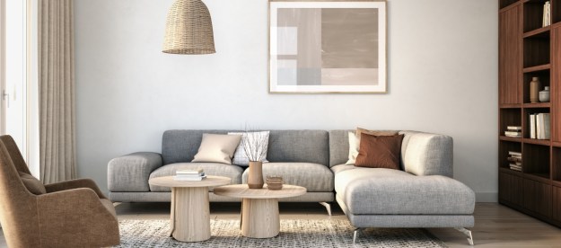 Modern Scandinavian living room style